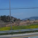 남해바다향기 이미지