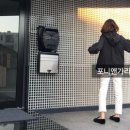 퍼피플리즈 이미지