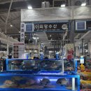 희망수산 | 수원 방어 맛집 추천 ㅣ 수원농수산물시장 희망수산 대방어 내돈내산 후기