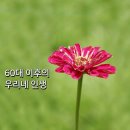 60대 이후의 우리네 인생 이미지