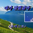 파릇파릇님신청곡) 내가 말했잖아 - 로커스트 이미지