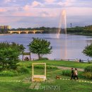 요리조리 이미지