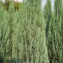 태림농장 이미지