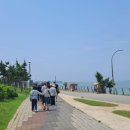 배곧한울공원 이미지