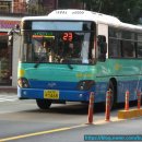 삼안여객(주) 이미지