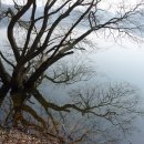 봉선지둘레길 이미지