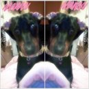 동울산동물병원 이미지