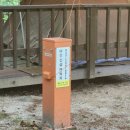 국립두타산자연휴양림 | 평창 두타산자연휴양림 야영장 캠핑장 데크 사이트