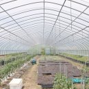 칠성면업사 이미지