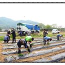 안성시시설관리공단 노동조합 이미지