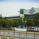 벚꽃로 가로수길 이미지