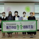 홍주여성늘솜협동조합 뉴스세상