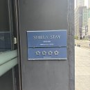 오션스테이 D | 신라스테이 해운대 디럭스 트윈룸 오션뷰 수영장 내돈내산 후기