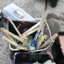 대구제일고등학교 이미지