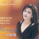 1294 Daum카페