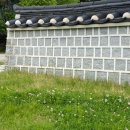 담 이미지