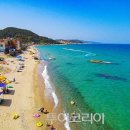 남호해수욕장 이미지