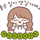 거제비타민씨