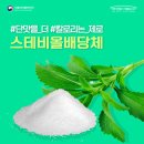 스테이오 이미지