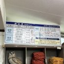 오이랜드 | [신촌] 도심속 힐링공간 신촌숲속랜드 숯가마 사우나 &amp; 삼겹살후기🌳