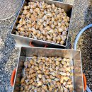 싱싱회 대게왕국 이미지