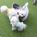 견상낙원 이미지