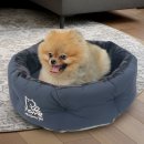 스윗테일 이미지