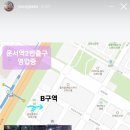 영타코 이미지