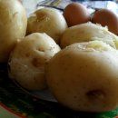 마늘오리 이미지