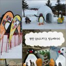 휘닉스 스노우파크 | [공지] 평창 휘닉스파크 눈썰매장 스노우빌리지 핑구콜라보 패키지 숙박 후기