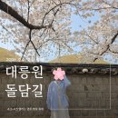 대릉원 | 경주 벚꽃 대릉원 돌담길 축제 후기 주차(4월3일 방문)