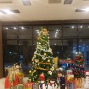 코델리아2 민박 | 제주도장기숙박 하기 좋은 가성비 갑 코델리아s호텔