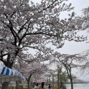 (주)승산-락카이샌드파인리조트 - 2959 | [강릉] 라카이 샌드파인 리조트 트리오 누오보 숙박 후기