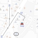 썸머리플라워