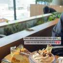 쌍둥이 임산
