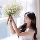 비비스튜디오 이미지