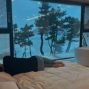 흙사랑청과 - 평택시 안현로서8길 57 | 흙사랑청과