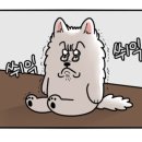 컴잘알