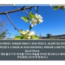 egli prese i cinque pani e i due pesci - 그가 오병이어를 취하시고 이미지