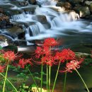 이마트 노브랜드 익산부송점 이미지