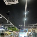 [제주스냅] 제주 가성비 부케 스노우폭스에서 준비 완료🤍