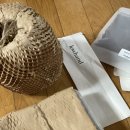 책상 위의 작은 정원, 테라리움 만들기 이미지