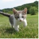 아이사랑동물약국 이미지