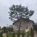 중앙어린이집 | KIB 2차 교사교육 후기 - 송림 꽃무지 풀무질 어린이집
