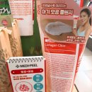 락토딥