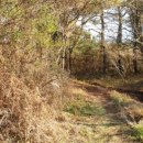 큰돌민박 이미지