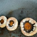 원골농원 이미지