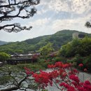 서초조은공인중개사사무소 네이버블로그
