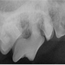 원종동물병원 이미지