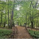 진천조이공인중개사사무소 | 진천부동산 진천과 음성 지역에서의 성공적인 부동산 거래 후기